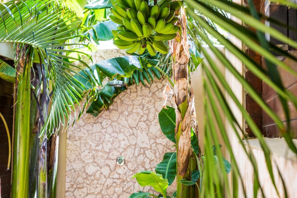 Bamboo Bonaire By Boutique Bonaire Unique Resorts Playa Eksteriør billede